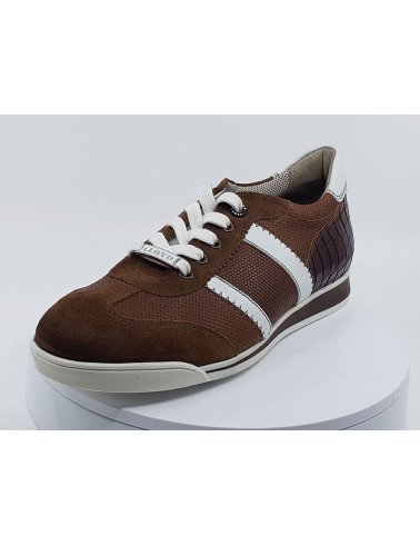 Sneakers Argon marron