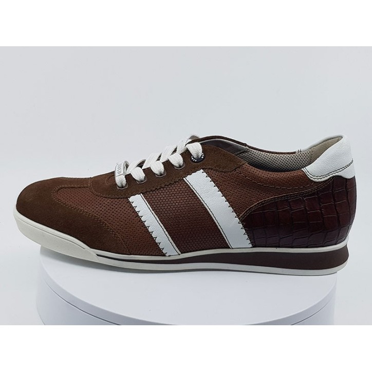 Sneakers Argon marron