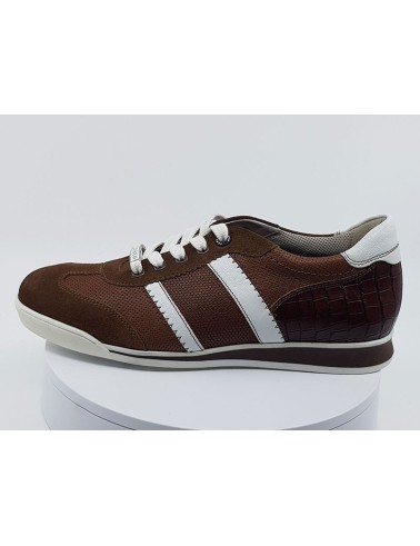 Sneakers Argon marron