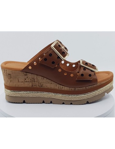 Mules Pulse camel