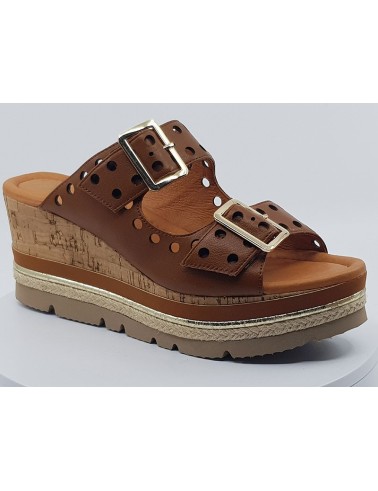 Mules Pulse camel