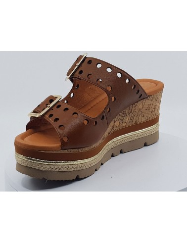 Mules Pulse camel