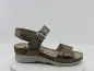 Sandales Oriana Taupe dorée Sandales Oriana Taupe dorée