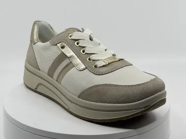Sneakers 27542 Platine ARA chez FRANCEL Chaussures