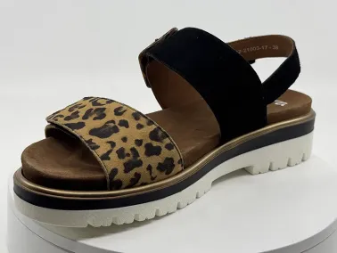 Sandales 21003 noir leopard ARA chez FRANCEL Chaussures